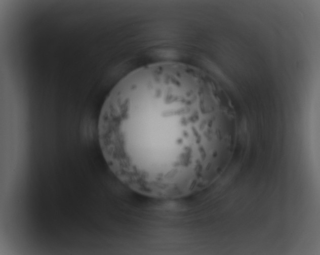 X0000100840330200807070938