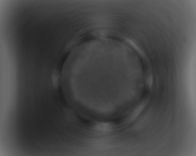 X0000100840332200807070938