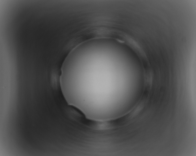 X0000100840333200807070938