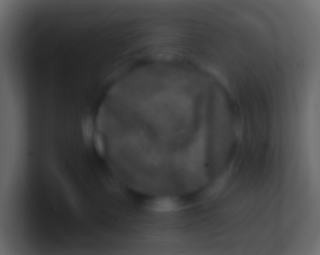 X0000100840335200807070938