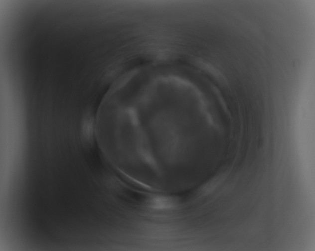 X0000100840336200807070938