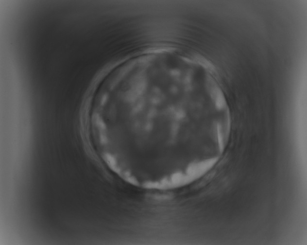 X0000100840337200807070937