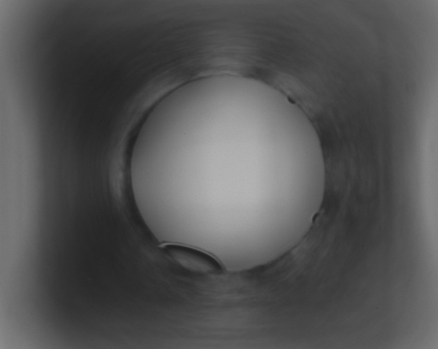 X0000100840338200807070937