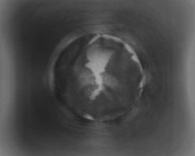 X0000100840339200807070937