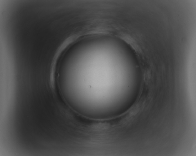 X0000100840340200807070938