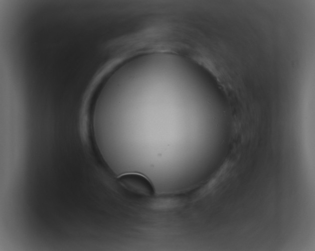 X0000100840342200807070938