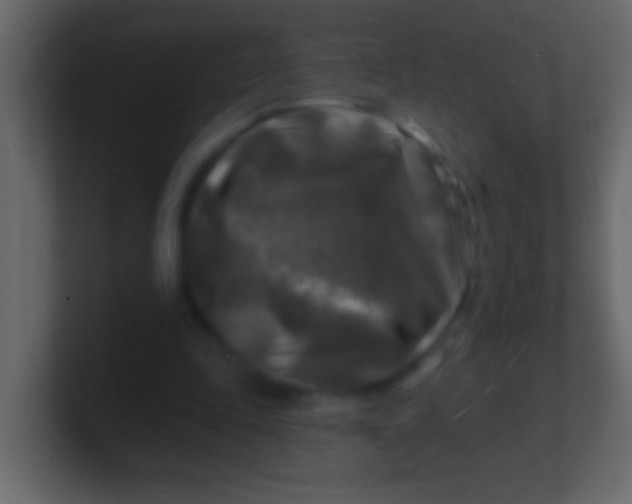 X0000100840343200807070938