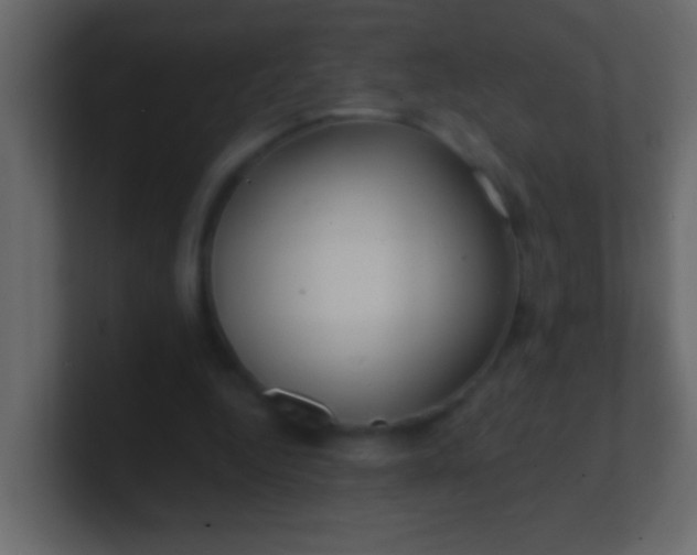 X0000100840344200807070938