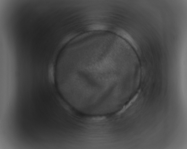 X0000100840345200807070938