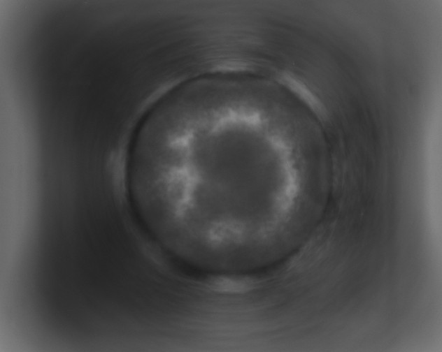 X0000100840346200807070938