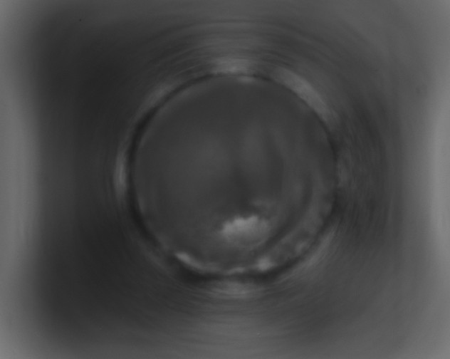 X0000100840347200807070938