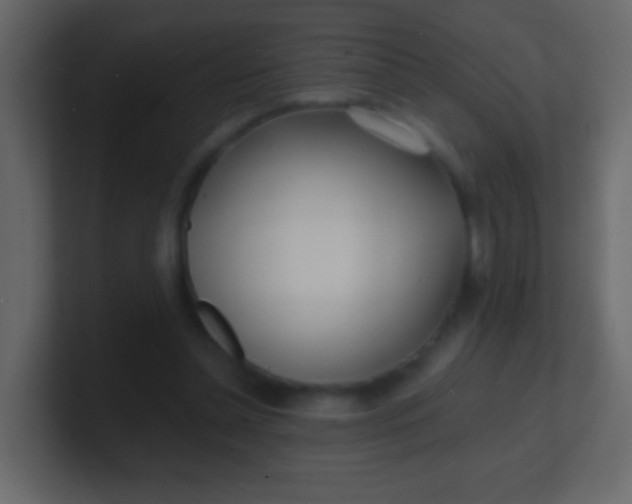 X0000100840348200807070938