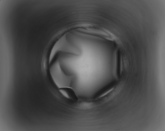 X0000100840350200807070938