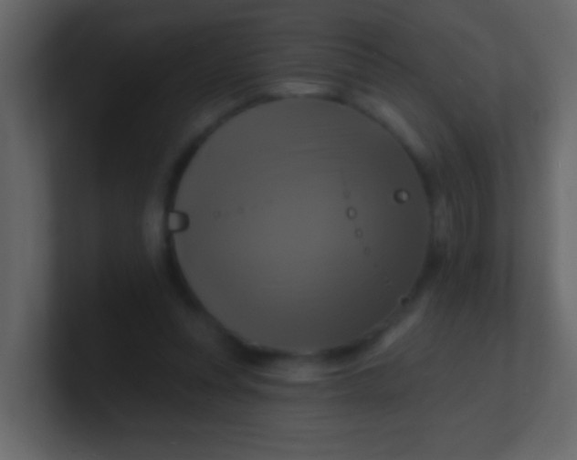 X0000100840351200807070938