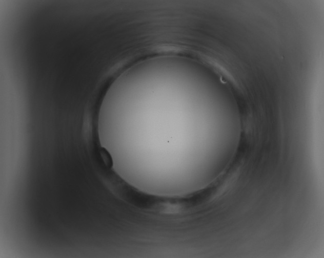 X0000100840352200807070938