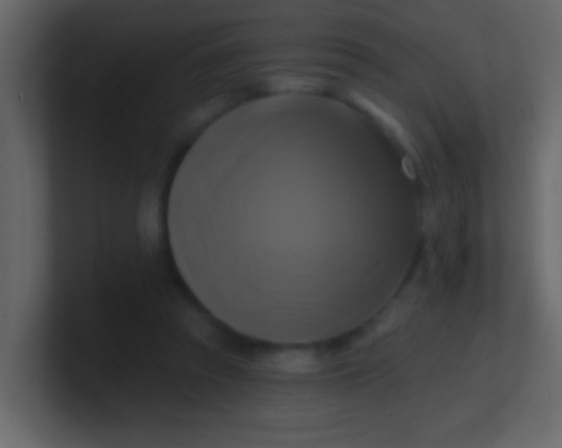 X0000100840353200807070938