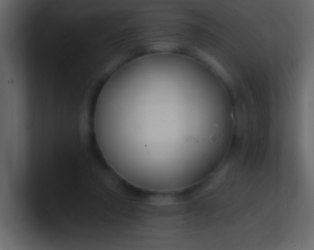 X0000100840354200807070938