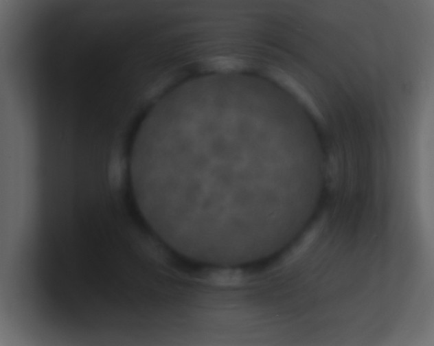 X0000100840355200807070938