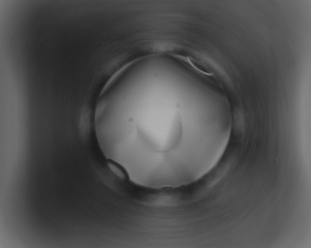 X0000100840356200807070938