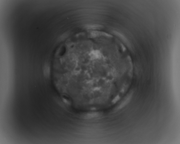 X0000100840357200807070938