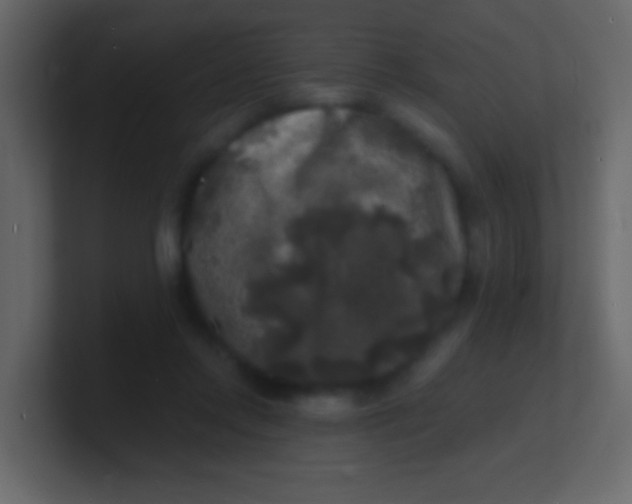 X0000100840358200807070938