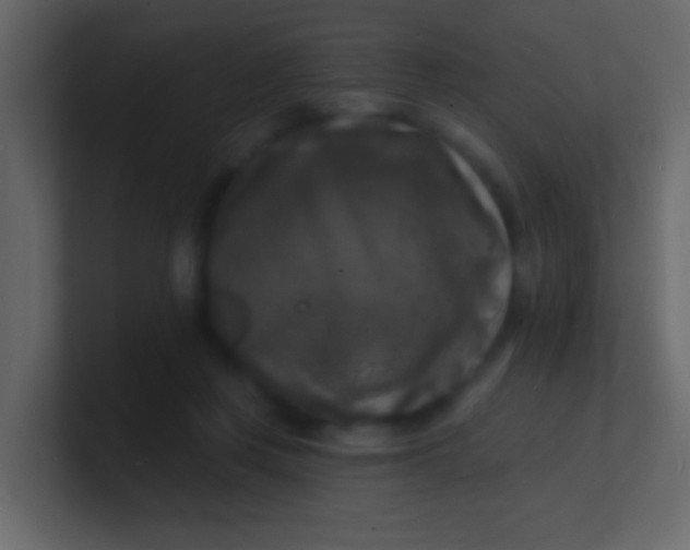 X0000100840359200807070938