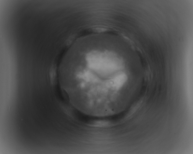 X0000100840360200807070938