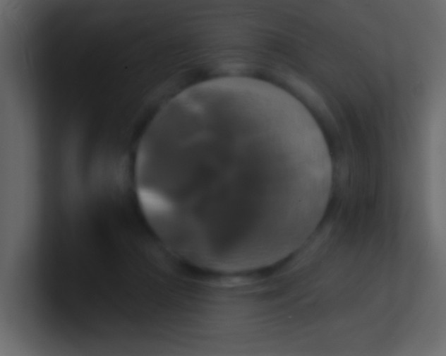 X0000100840361200807070938