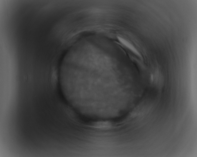 X0000100840363200807070938