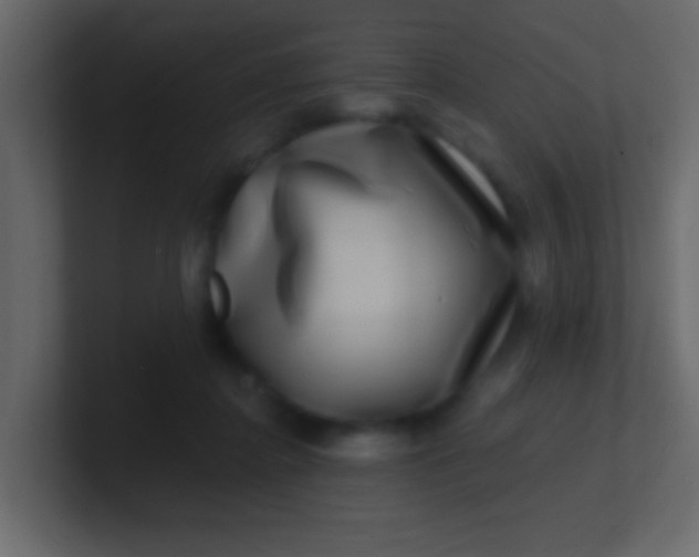 X0000100840364200807070938