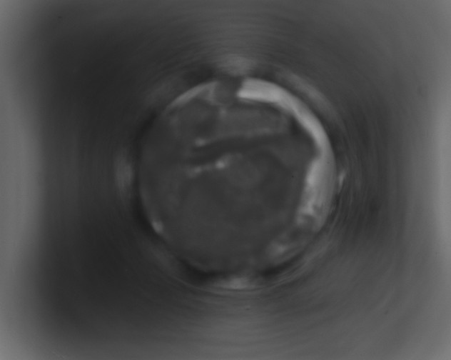 X0000100840365200807070938