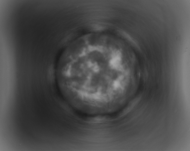 X0000100840366200807070938