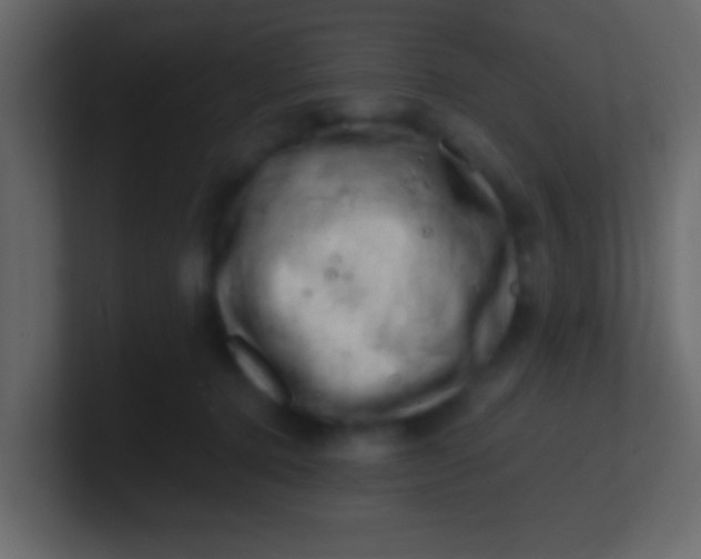 X0000100840368200807070938