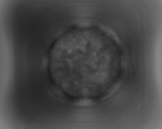 X0000100840369200807070938