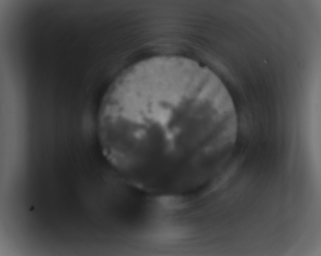 X0000100840371200807070938