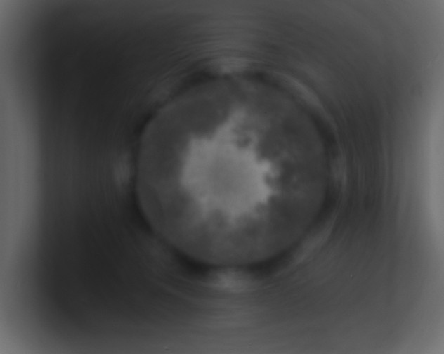 X0000100840372200807070938