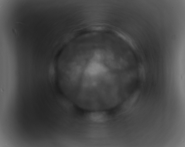 X0000100840373200807070938