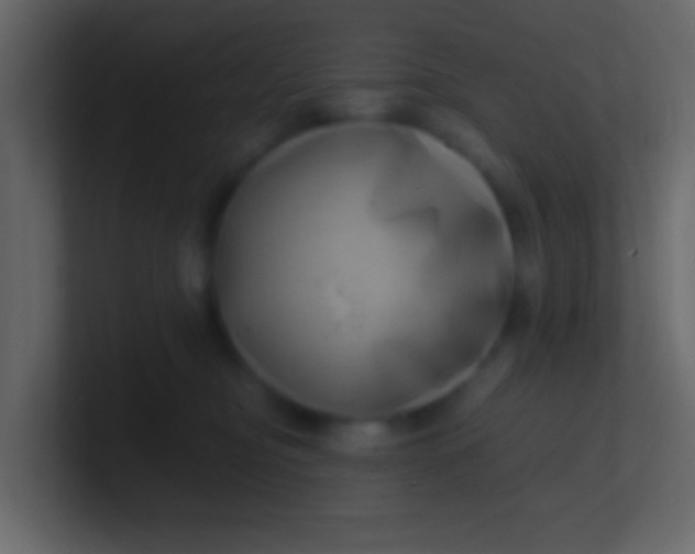 X0000100840374200807070938