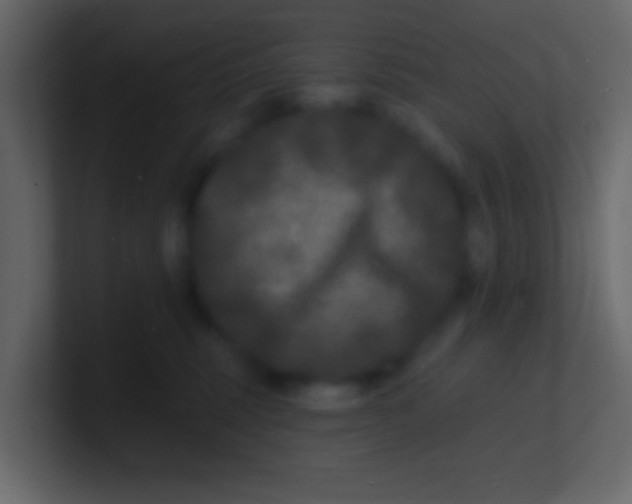 X0000100840375200807070938