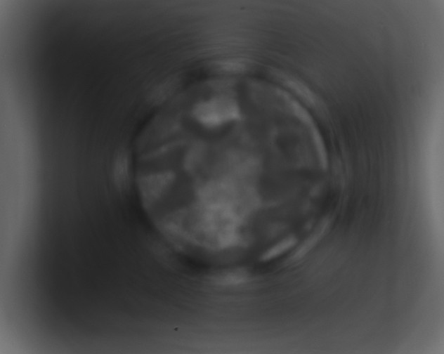 X0000100840377200807070938