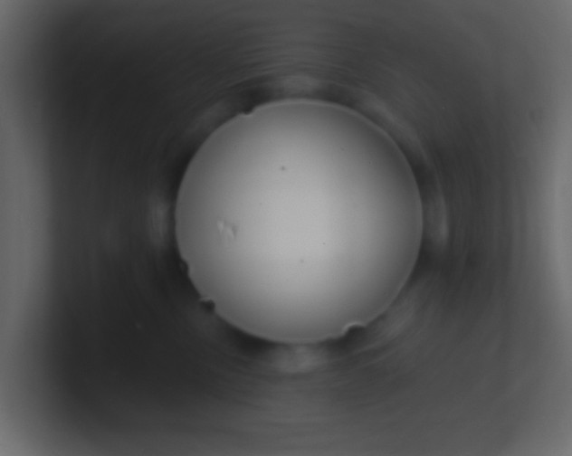 X0000100840378200807070938