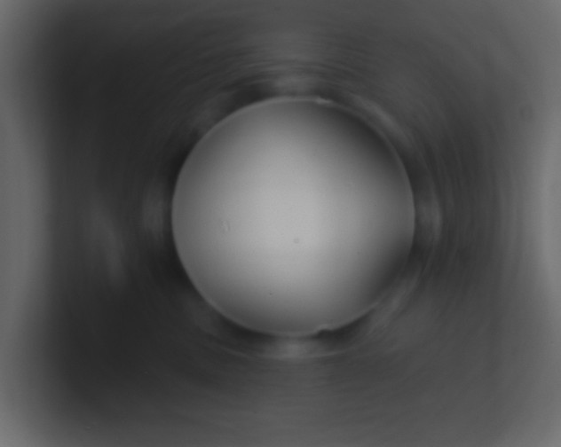 X0000100840379200807070938