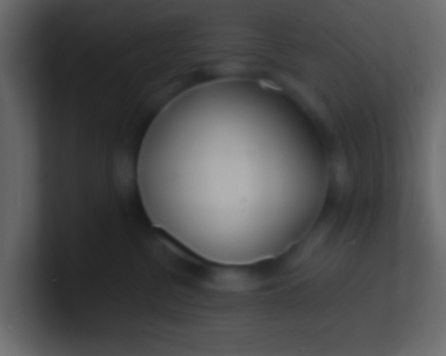 X0000100840380200807070938