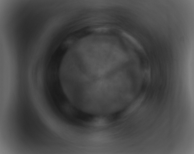 X0000100840381200807070938