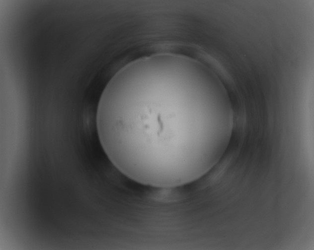 X0000100840382200807070938