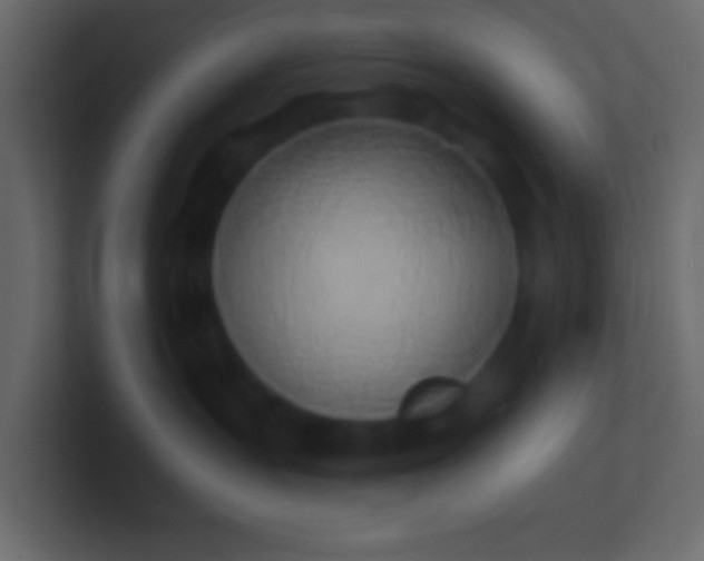 X0000100840383200807070938