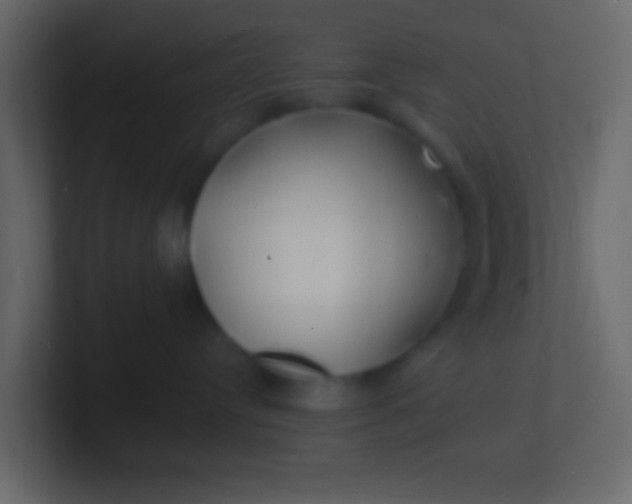 X0000100840384200807070938