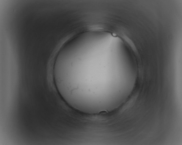 X0000100840385200807070937