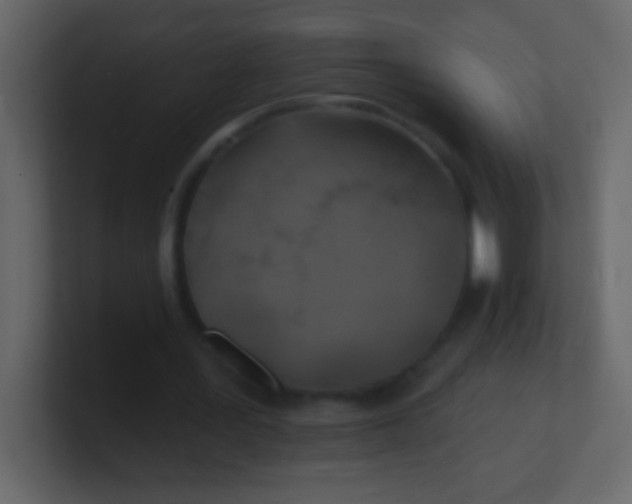 X0000100840387200807070937