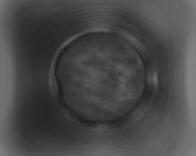 X0000100840388200807070937